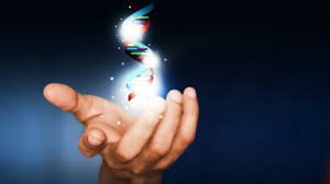 images-2021-05-20T230101.811